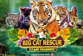 Big Cat Rescue Megaways